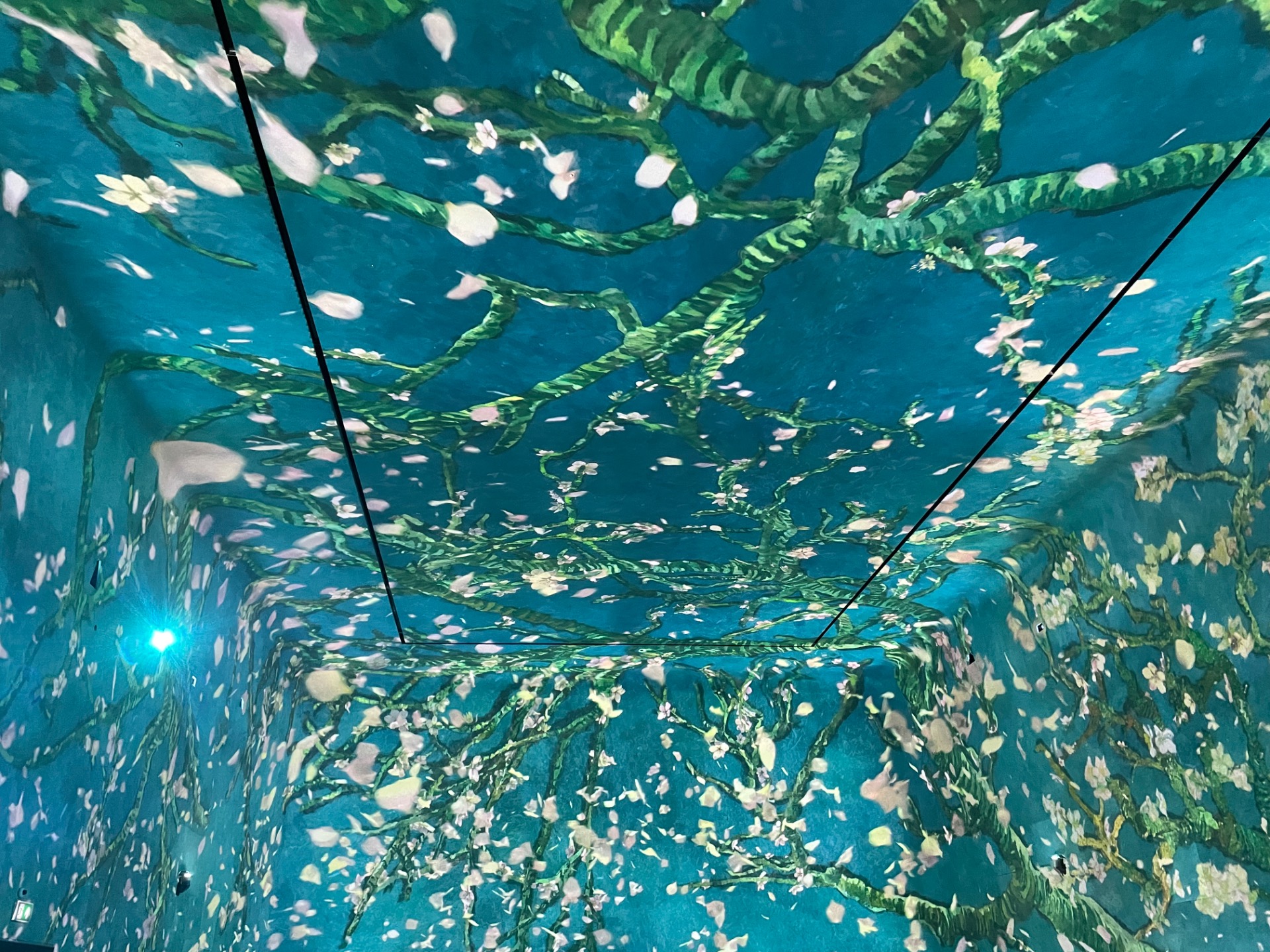 Global Foto puck, besök, Frameless Immersive Art Experience in London, UK.